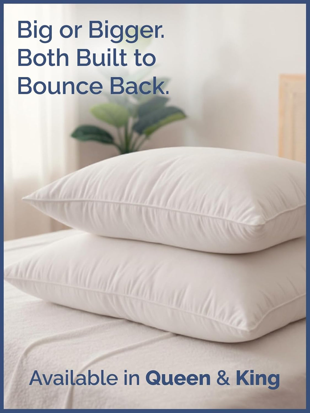 Cotton Pillow