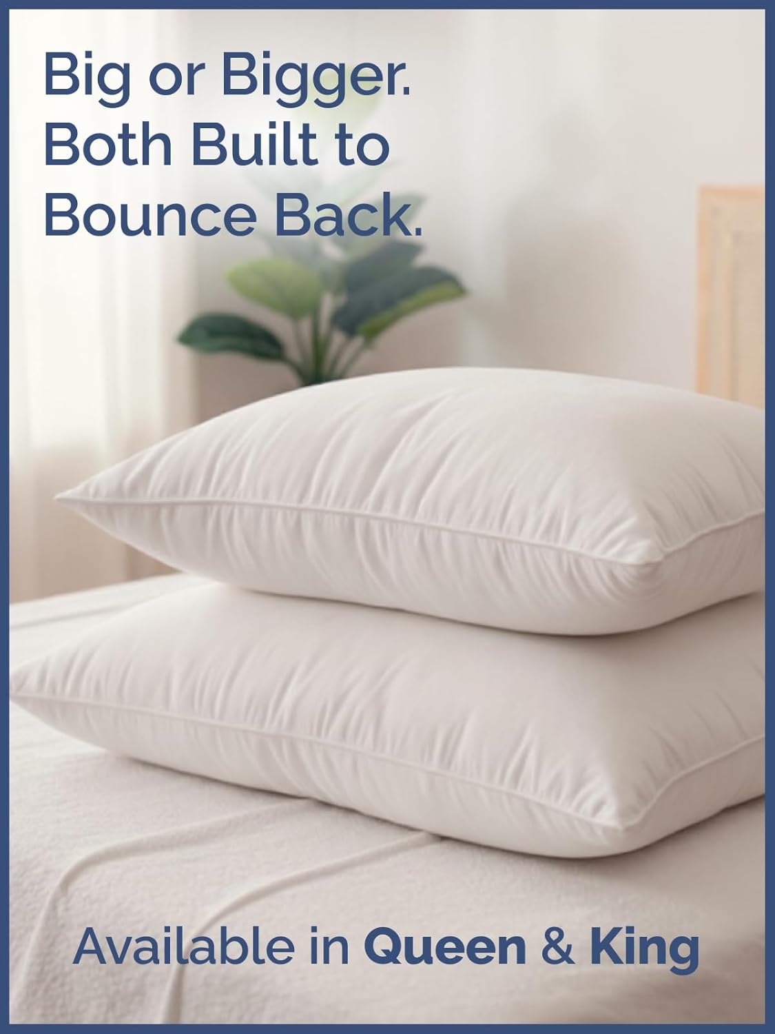 Cotton Pillow