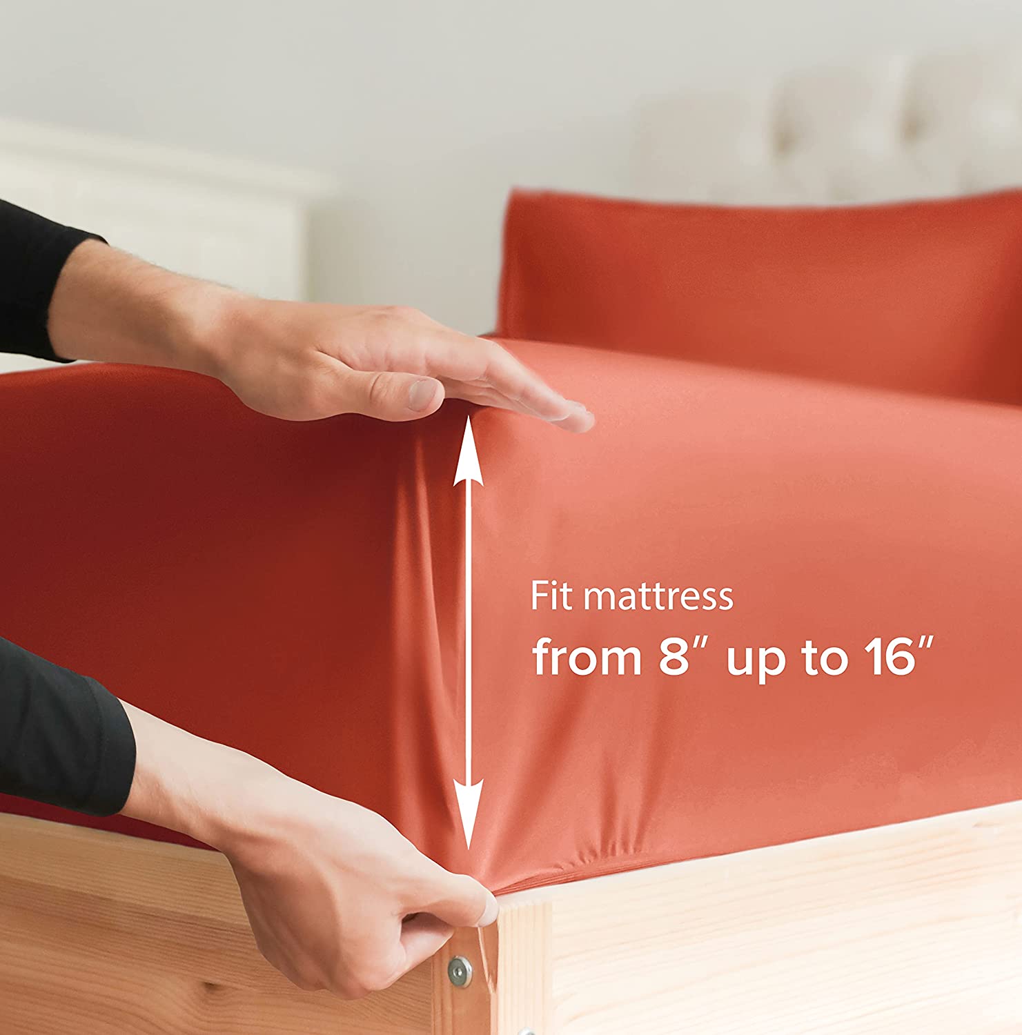 Standard Single Fitted Sheet
