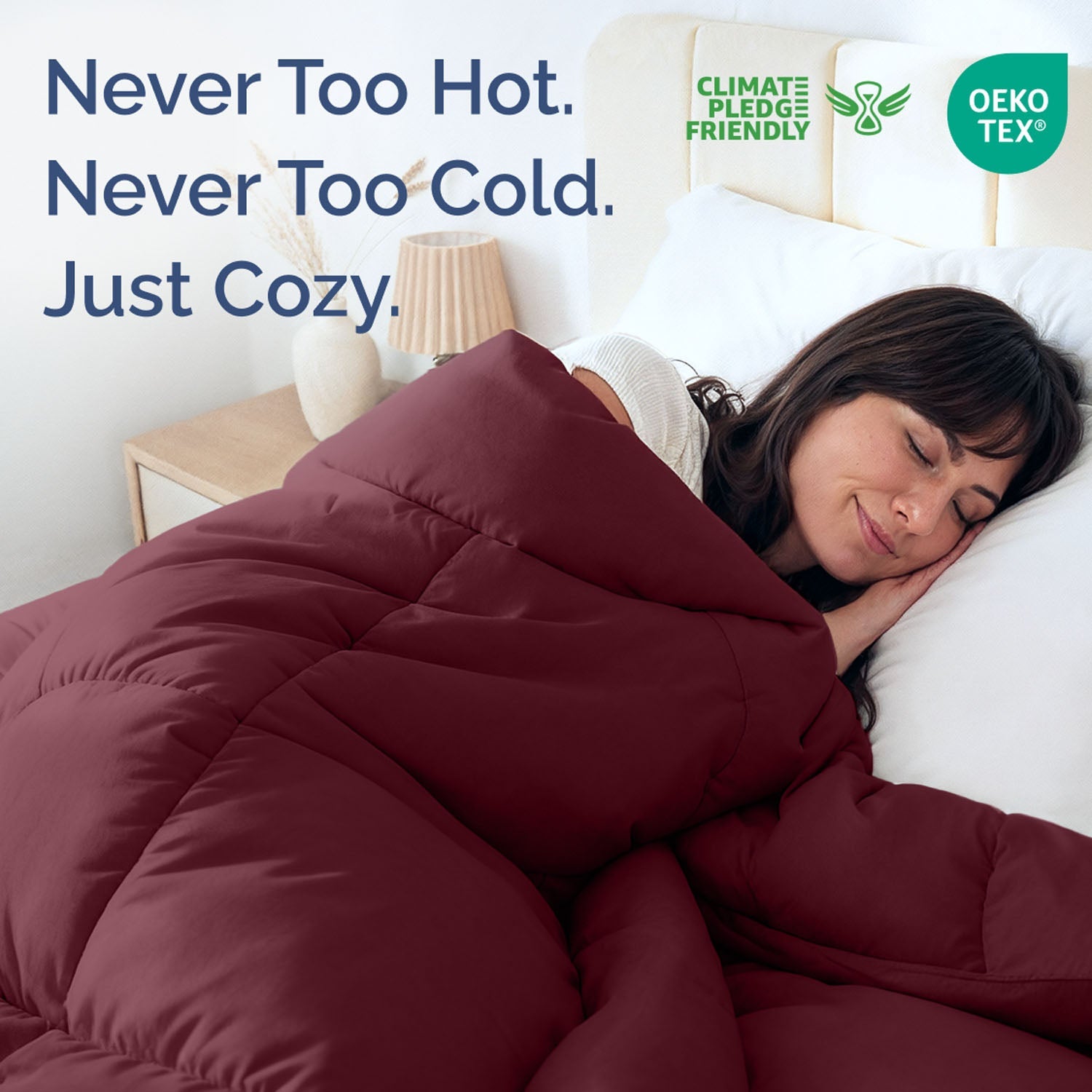Premium Down Alternative Comforter