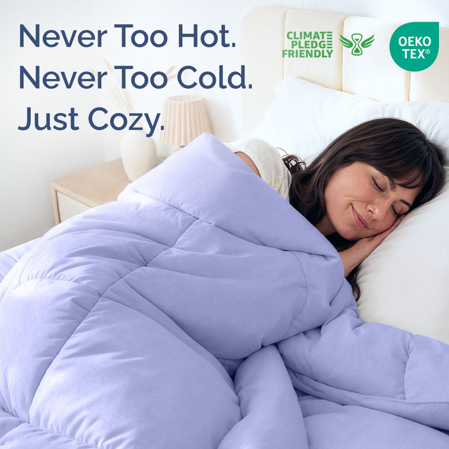 Premium Down Alternative Comforter