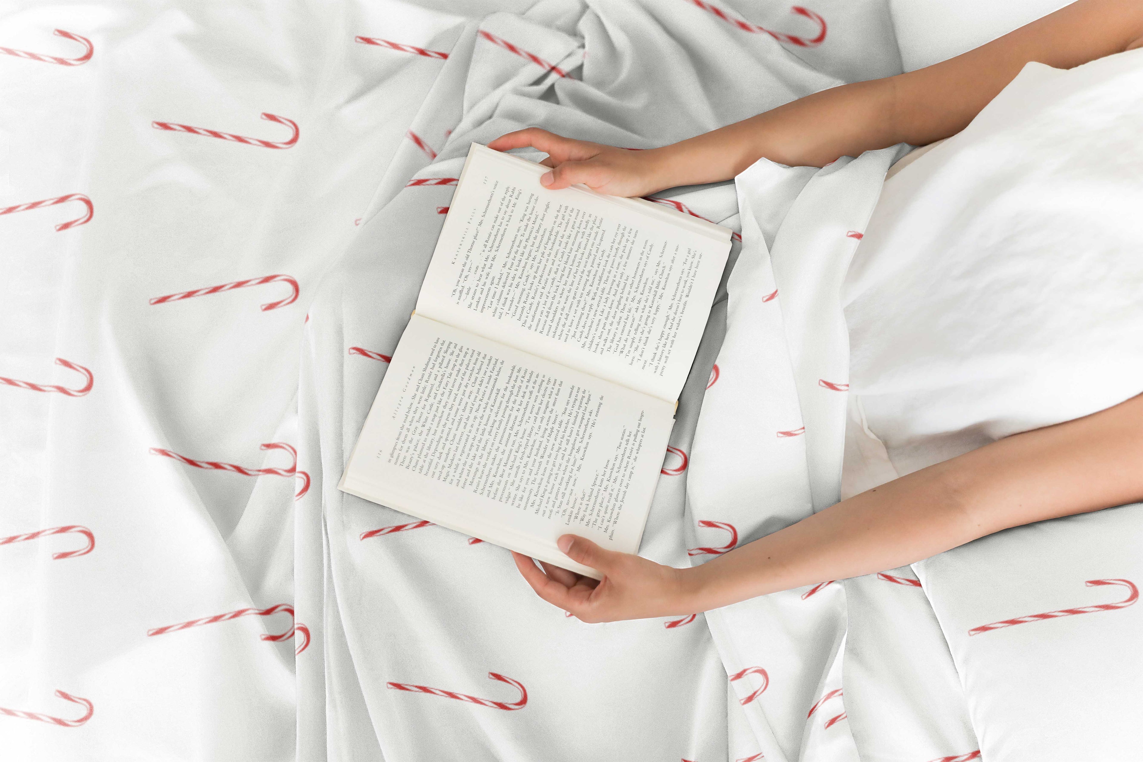 4 Piece Christmas Sheet Set