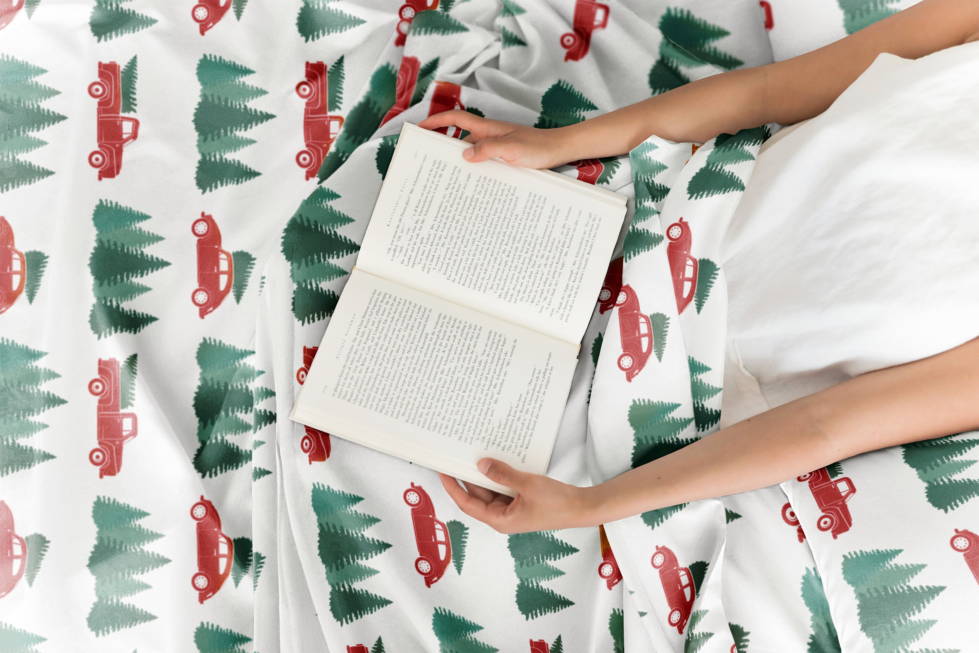 4 Piece Christmas Sheet Set