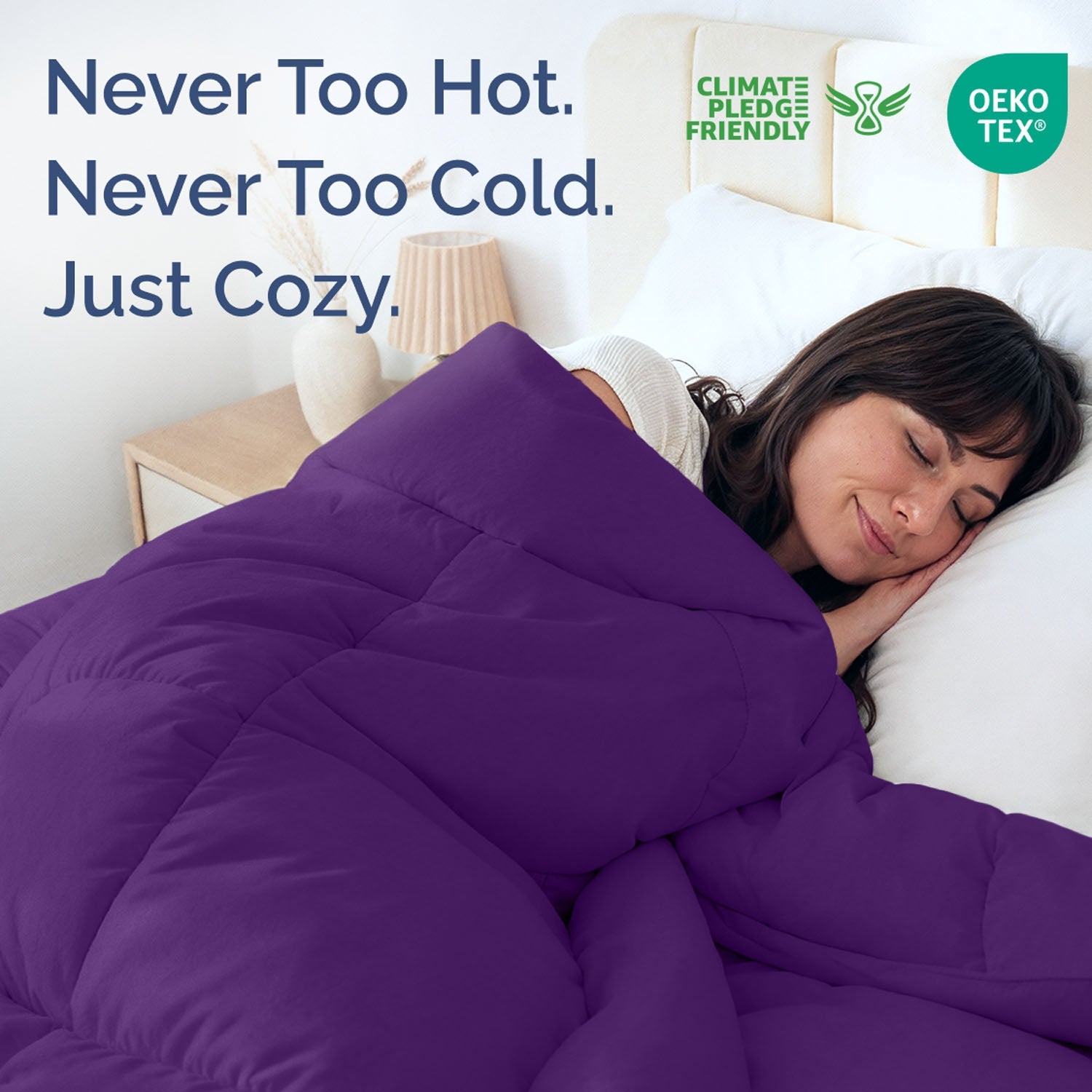 Premium Down Alternative Comforter