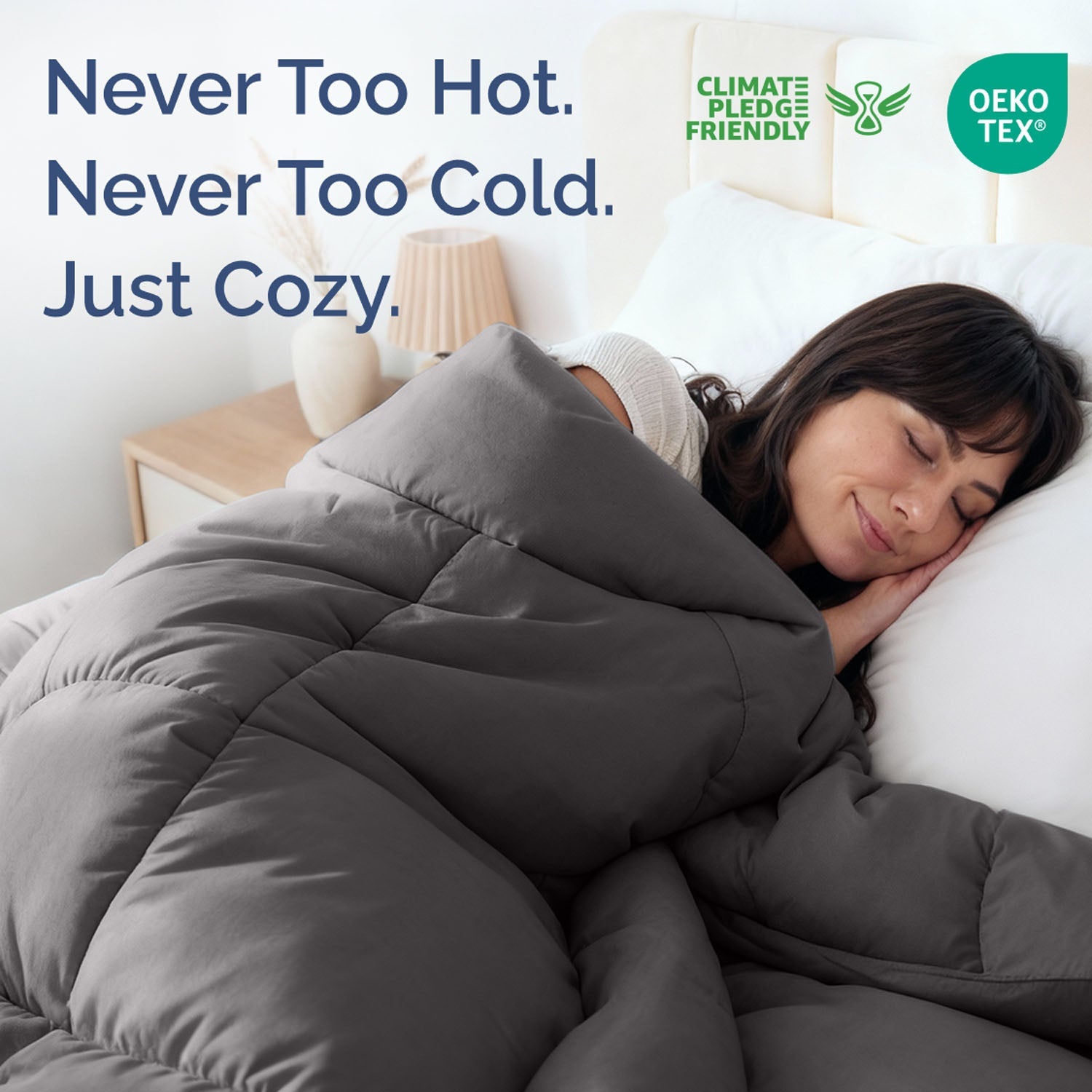Premium Down Alternative Comforter