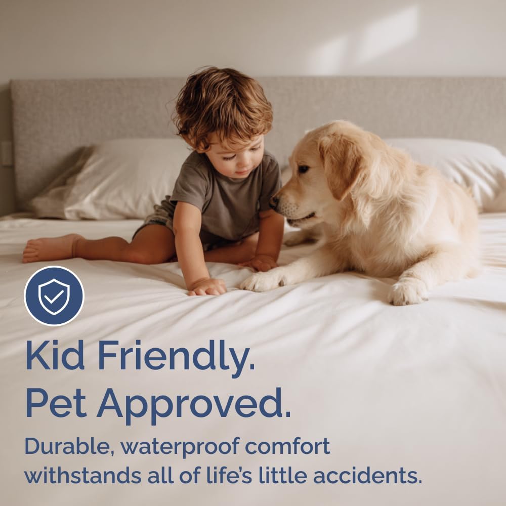 Premium Terry Mattress Protector