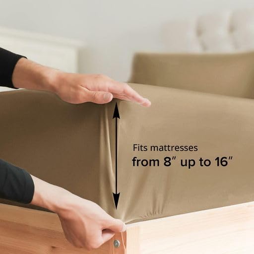 Cotton 400 Thread Count Standard Single Fitted Sheet